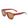 Kanowna Sunglasses - Tort/Berry -Cancer Council Supplies Shop TCC2558877 1KANOWNAPETITE